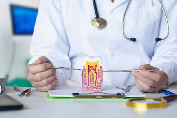 Best Emergency Broken Tooth Repair in Flanders, NJ